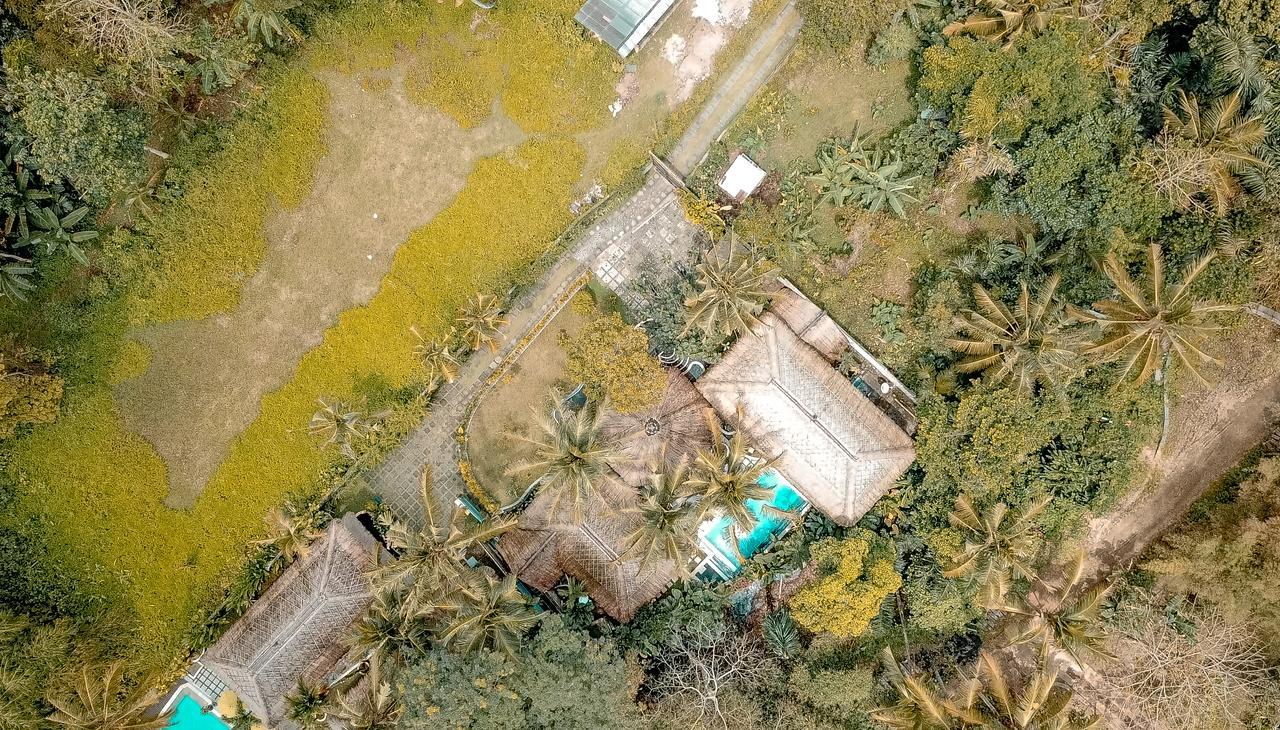 Villa Bali Village Ουμπούντ Εξωτερικό φωτογραφία
